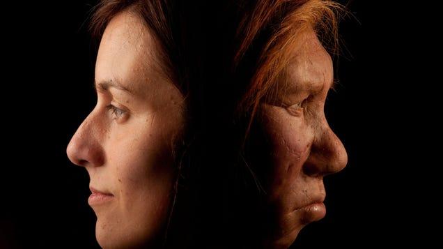 Arqueólogos Desvendam Mistérios da Herpes Neanderthal em 2024. 1 Arqueólogos Desvendam Mistérios da Herpes Neanderthal em 2024.