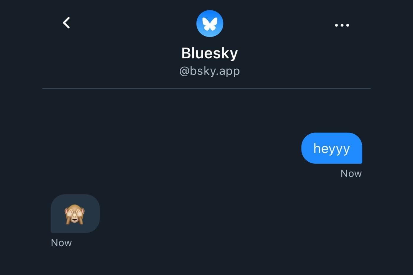 Bluesky em 2024: Mensagens criptografadas revelam transformações. 1 Bluesky em 2024: Mensagens criptografadas revelam transformações.