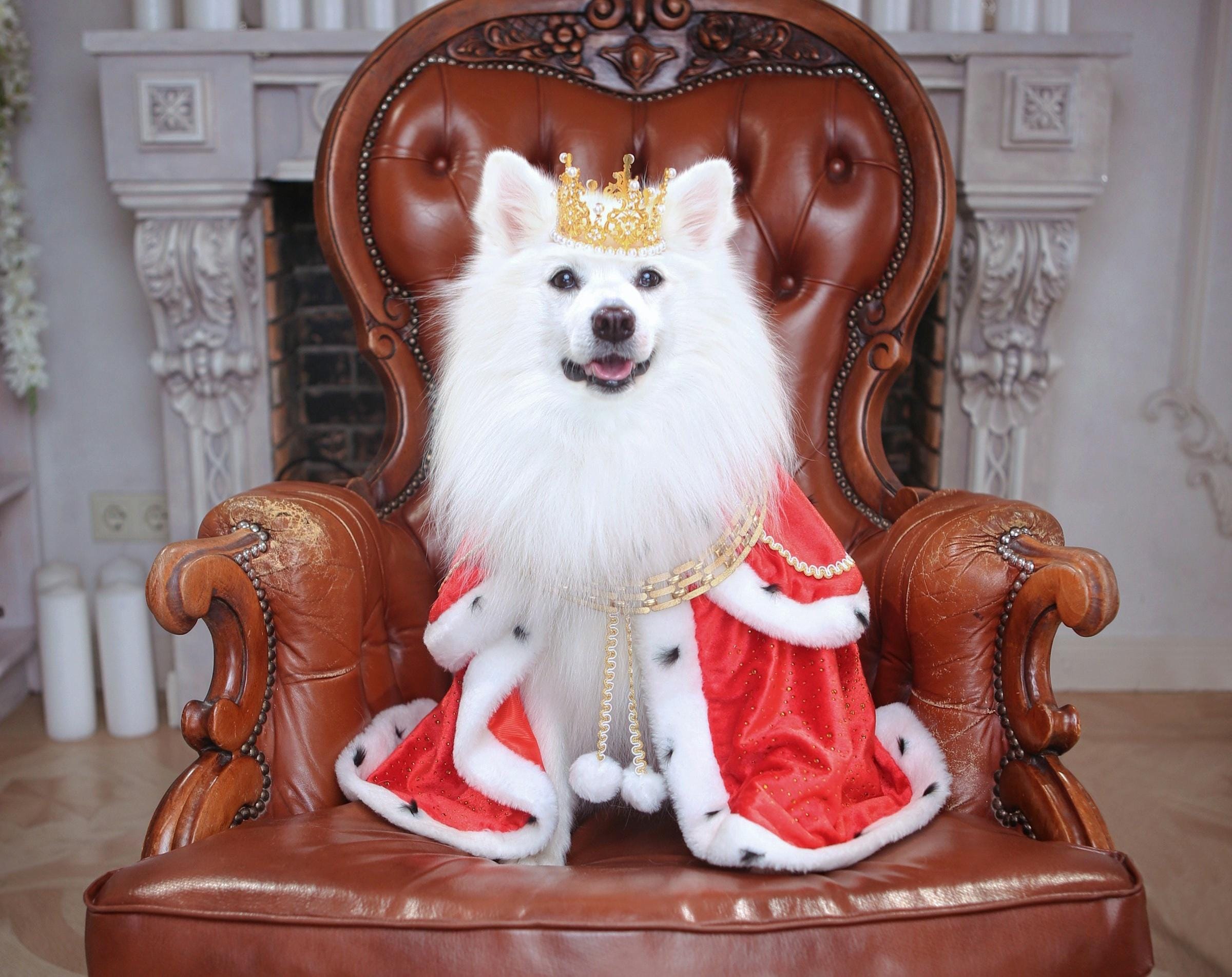 Gemini 1.5 Pro da Google supera GPT-4o em 35% de eficiência.