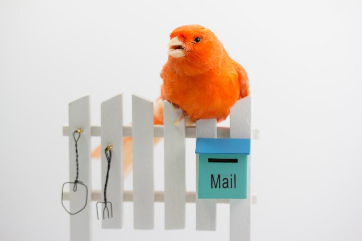 Construa sua IA com a nova ferramenta do Postman. 1 Construa sua IA com a nova ferramenta do Postman.