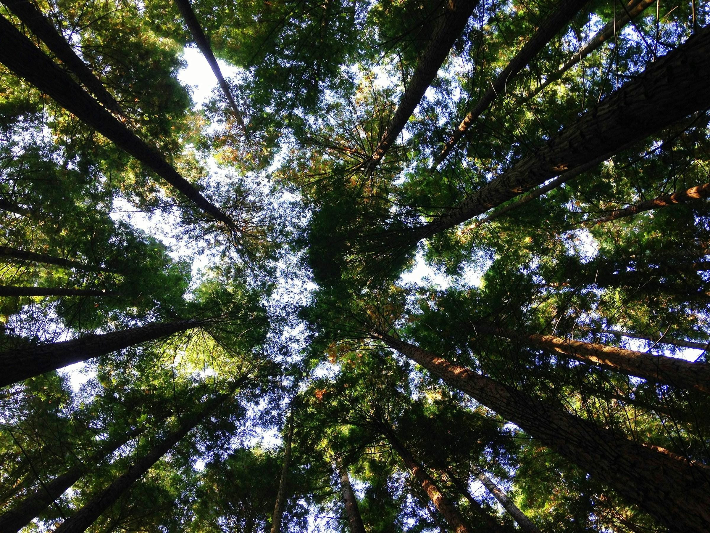 Sustentabilidade e IA: Transformando negócios até 2025. 1 Sustentabilidade e IA: Transformando negócios até 2025.